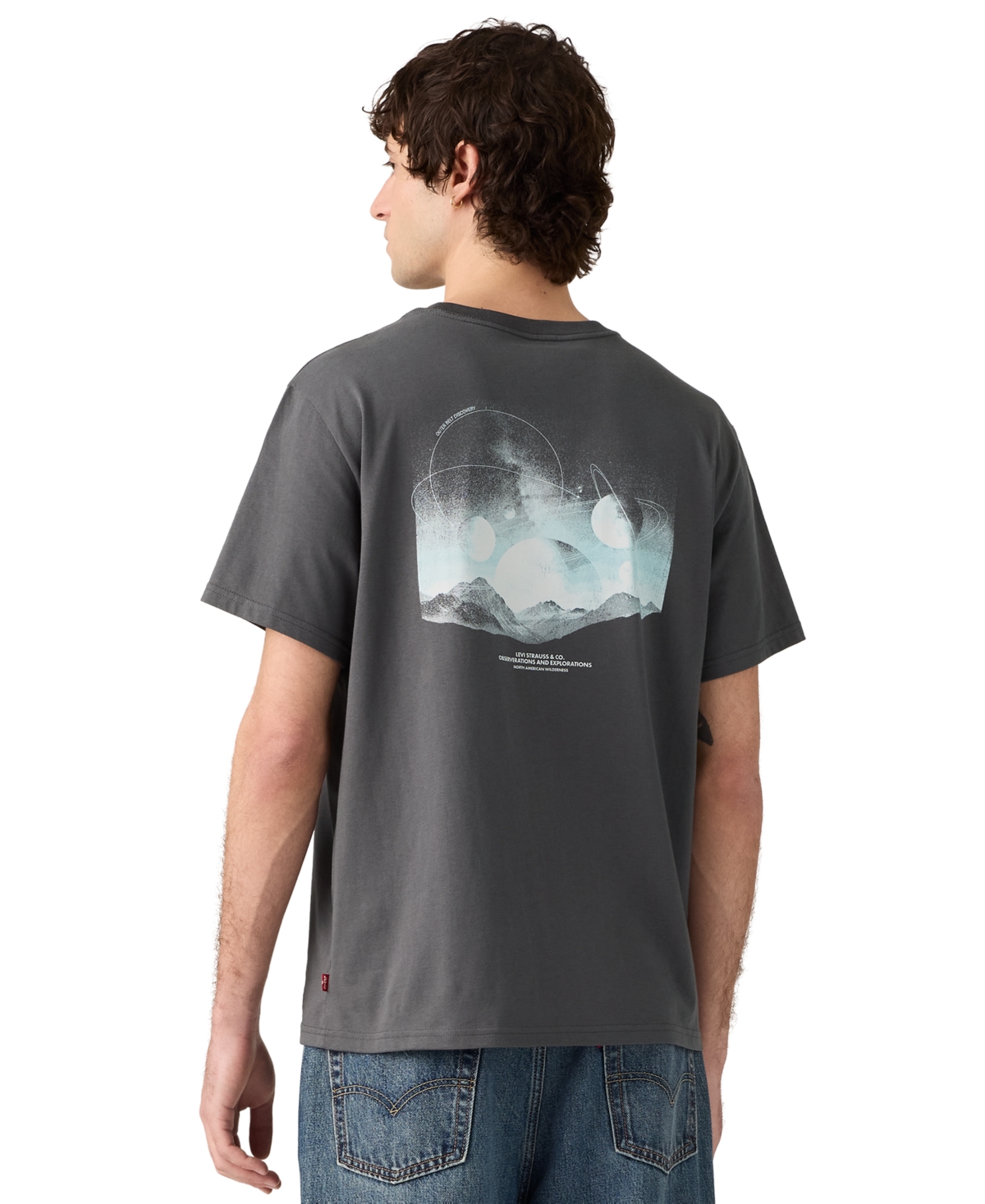 Levi's Men's Crewneck Graphic T-Shirt - Gray Pinestripe