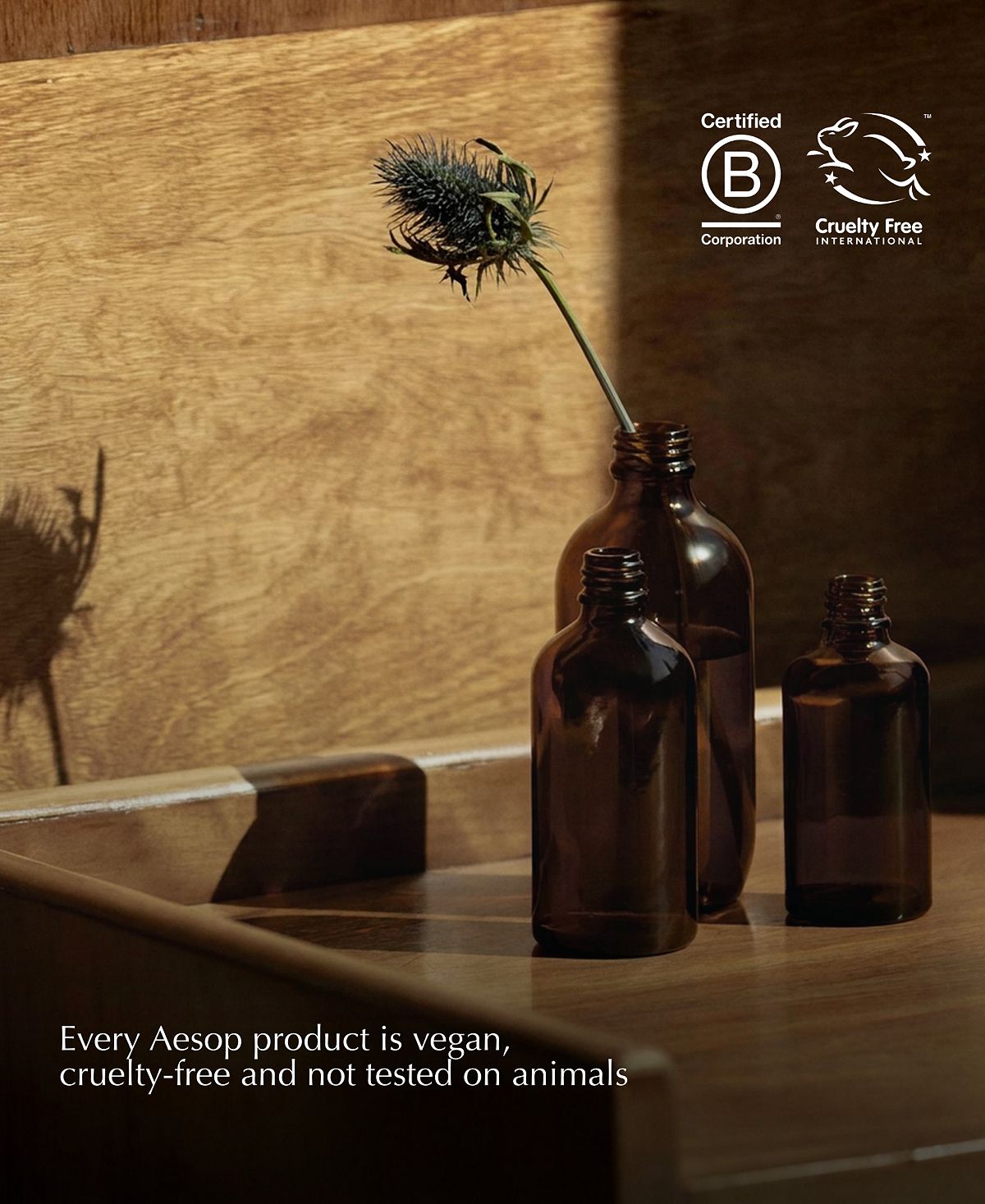 AESOP 린드 컨센트레이트 바디 밤 3.3oz