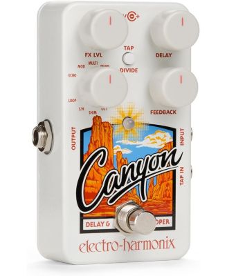 Canyon 11 Time-Based Effects Delay and Looper Pedal