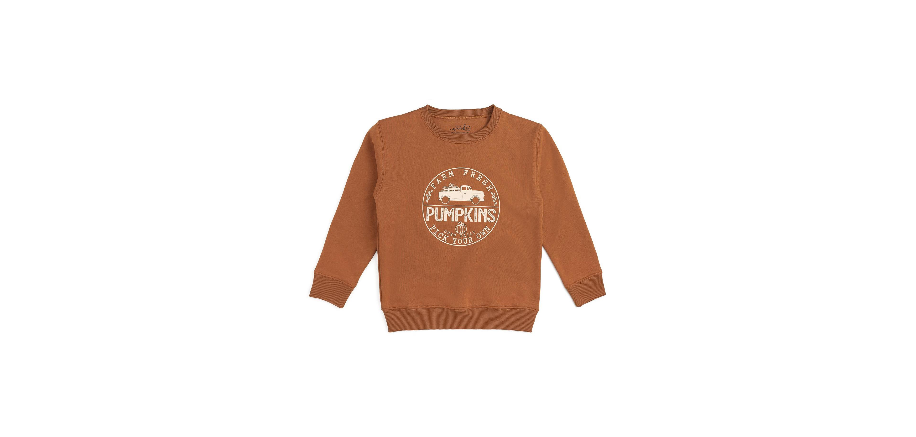 Sweet Wink Baby Boys (12- 24M) Farm Fresh Pumpkins Sweatshirt