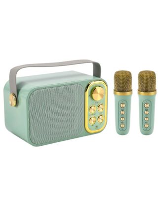 10W Karaoke Dual-Microphone Speaker