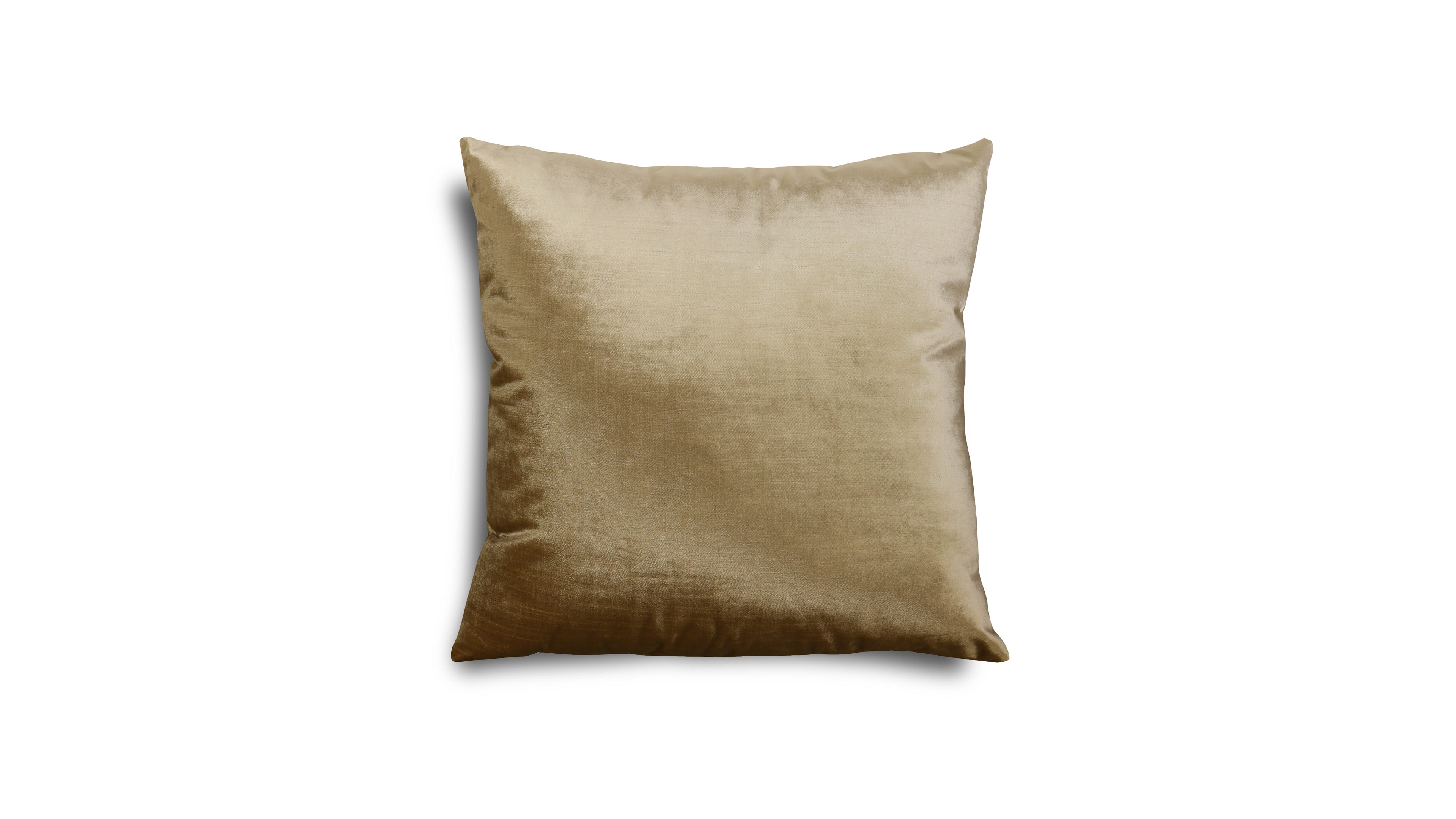 Riverbrook Home Luxi Velvet Decorative Pillow, 20" x