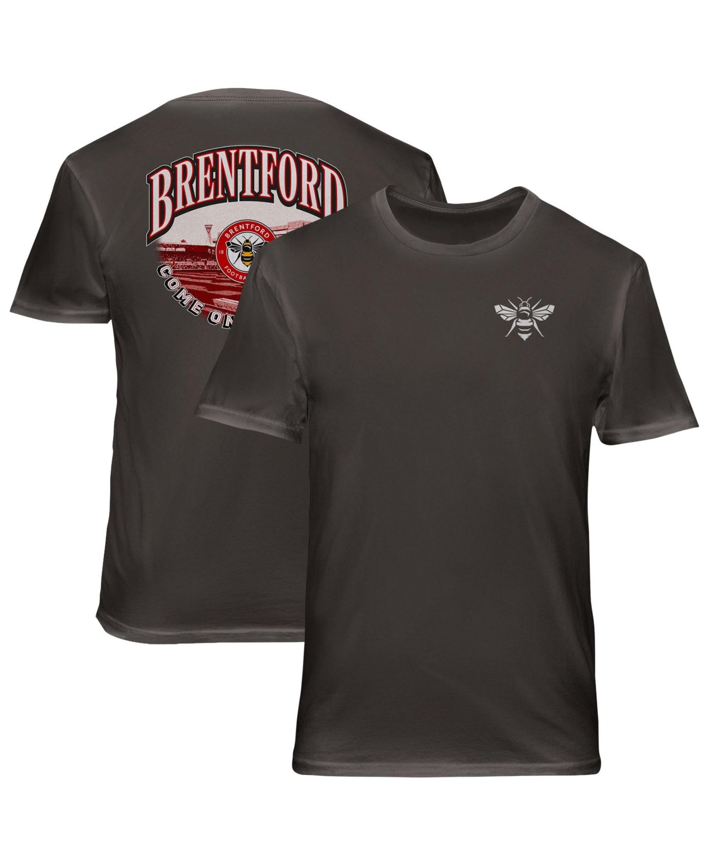 Мужская футболка 1863FC Gray Brentford FC Wordmark Cotton — фото 1