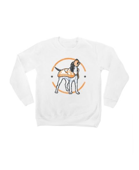 Детская толстовка Gameday Couture White Tennessee Volunteers End Zone Pullover