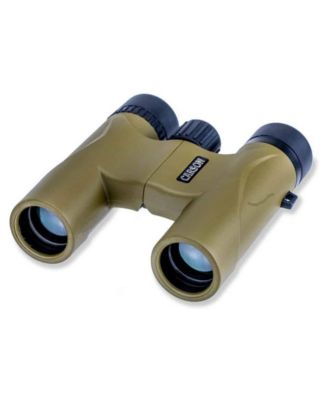 10x25 Stinger Compact Binocular, 5.5 Degree AOV