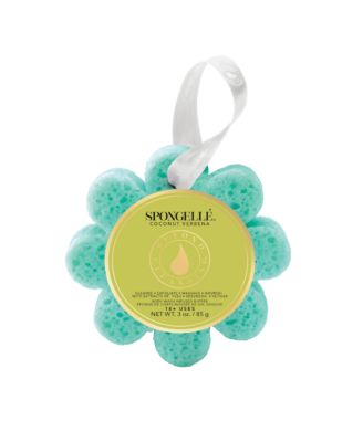 Daisy Collection Wild Flower Coconut Verbena