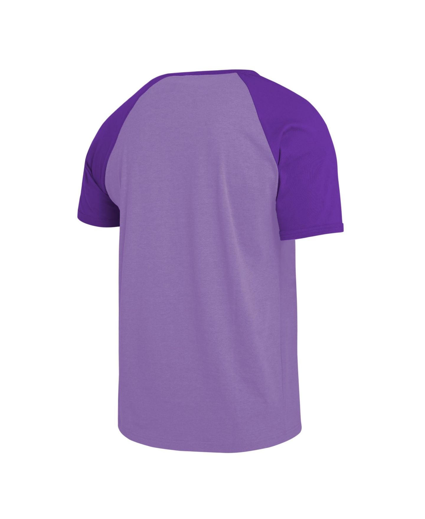 Мужская футболка Darius Rucker Collection By Fanatics Purple Minnesota Vikings Raglan — фото 4
