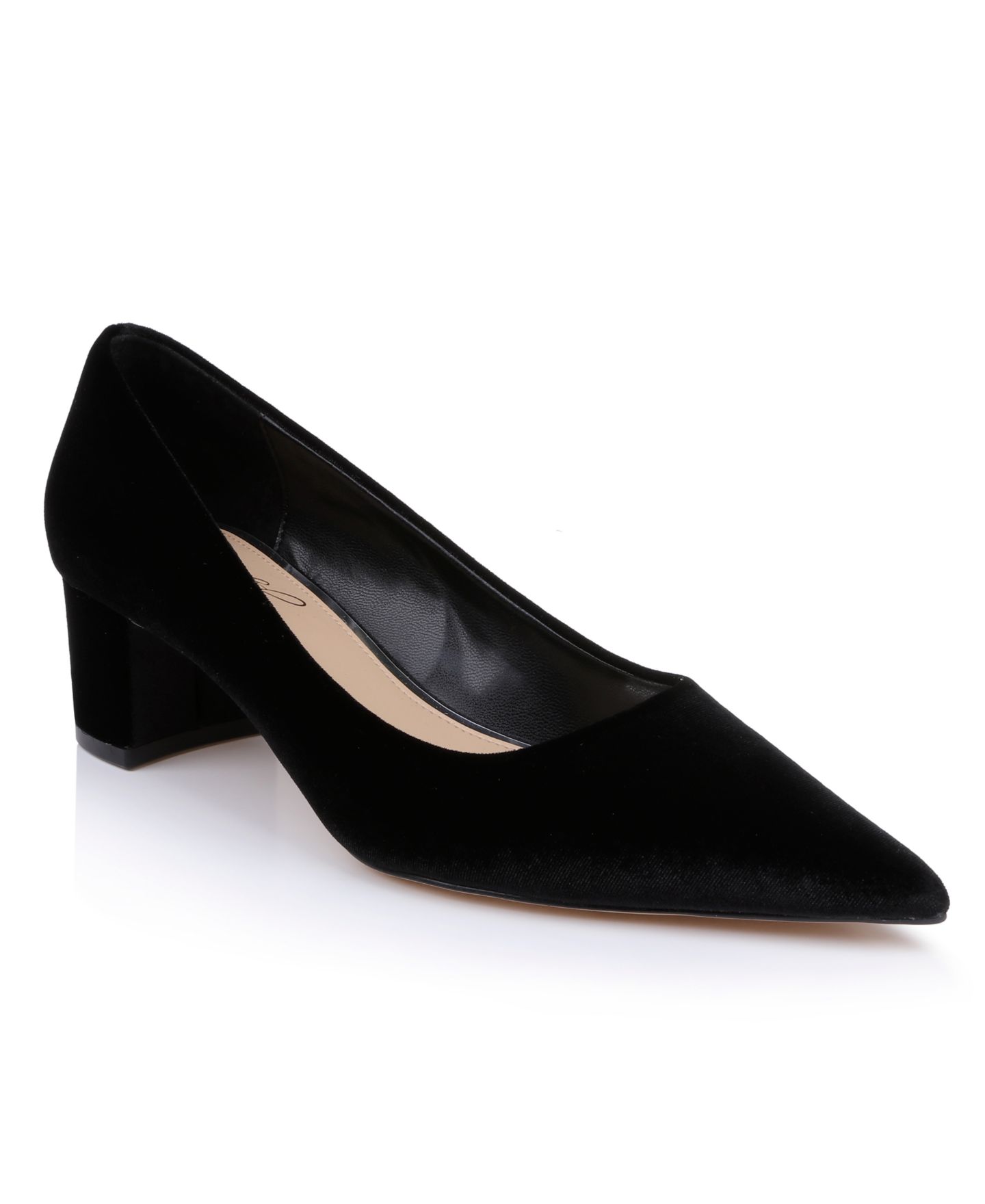 Женские туфли Jewel Badgley Mischka Bala Pointed Toe Block Heel, цвет: Чёрный бархатный — фото 1