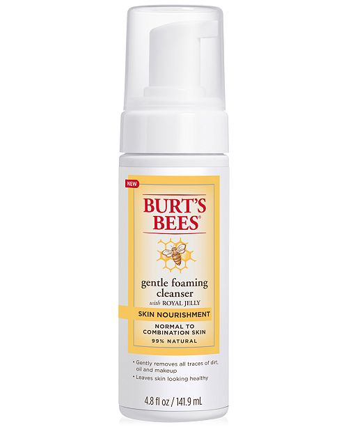 Burt's Bees Skin Nourishment Gentle Foaming Cleanser, 4.8 fl oz