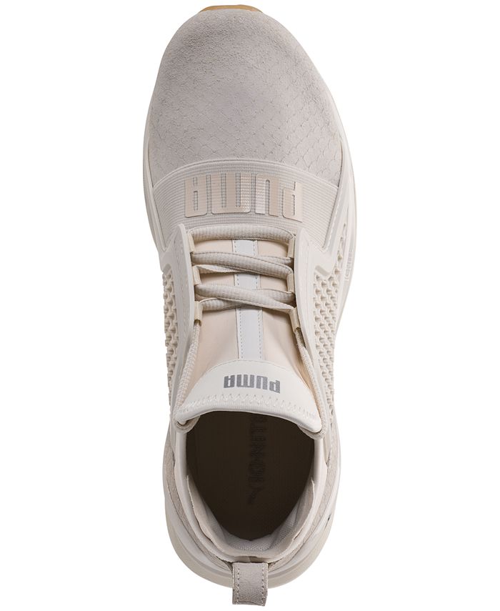 limitless reptile puma