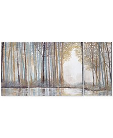 Madison Park Forest Reflections 3-Pc. Gel-Coated Canvas Print Set