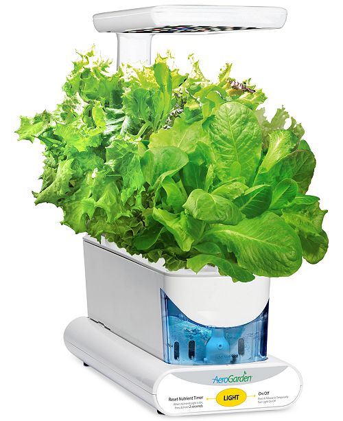 AeroGarden Heirloom Salad Green 3-Pod Refill Kit & Reviews - Small