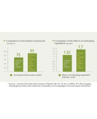 The Chok Chok Green Tea Watery Skin Toner