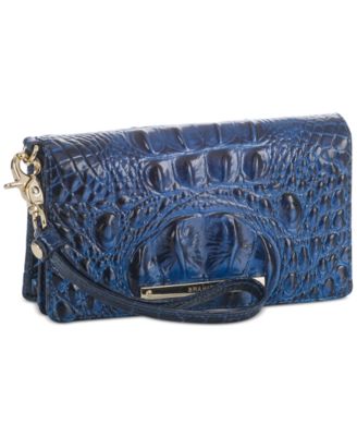 brahmin debi wallet
