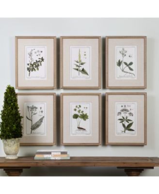 Green Floral Botanical Study Wall Art, Set of 6