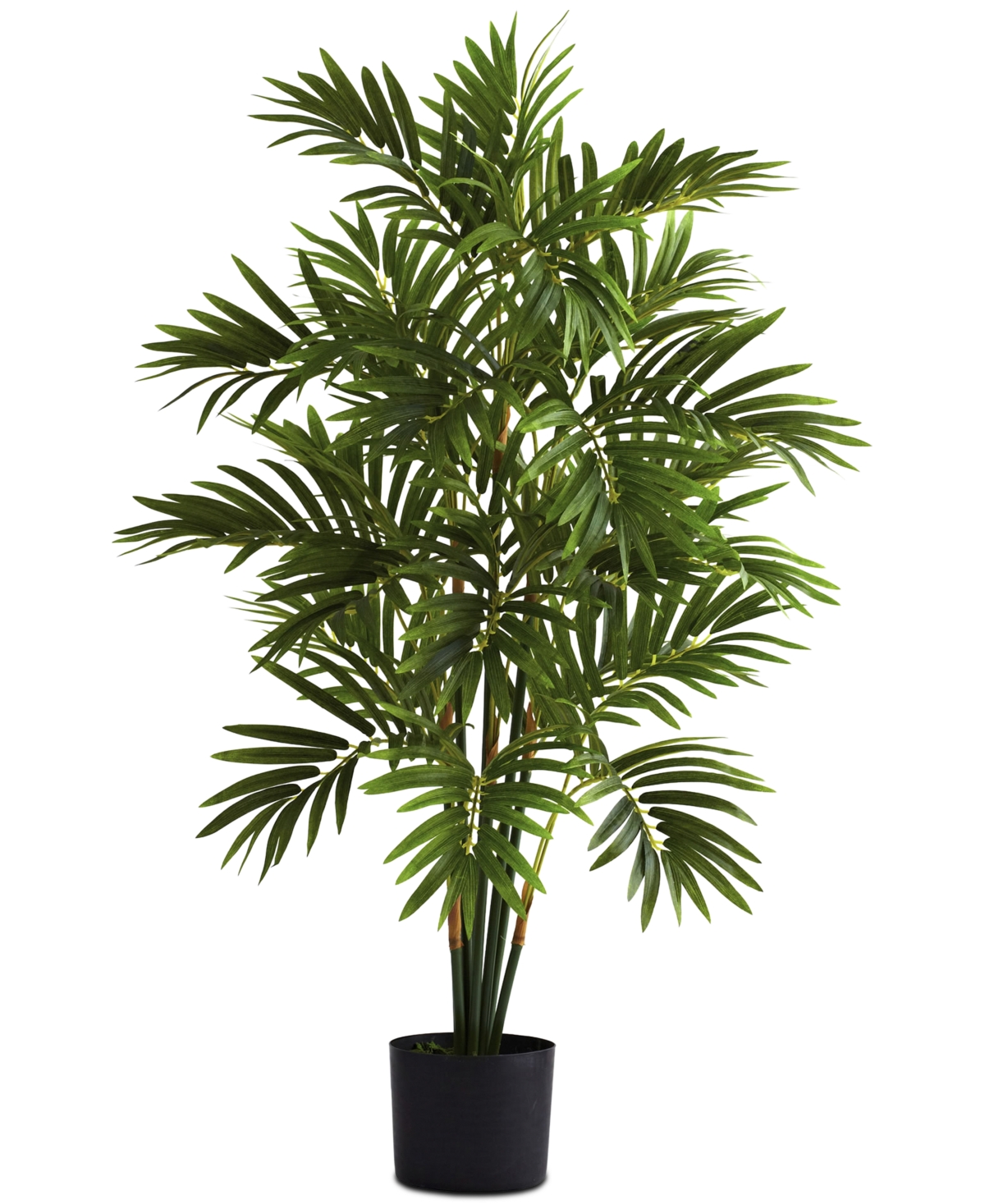 3' Areca Palm Tree - Green