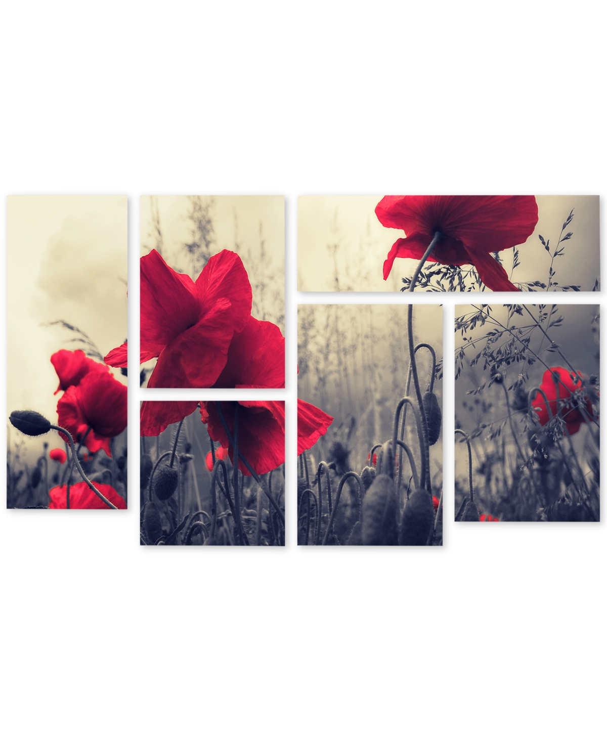 Philippe Sainte-Laudy Red For Love Multi-Panel Wall Art Set, 12 x 18