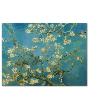 Trademark Global Vincent Van Gogh 'almond Branches In Bloom 1890' Canvas Art In No Color