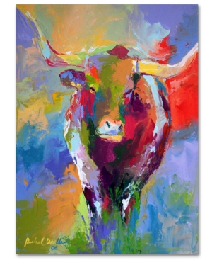 Trademark Global Richard Wallich 'longhorn' Canvas Art In No Color