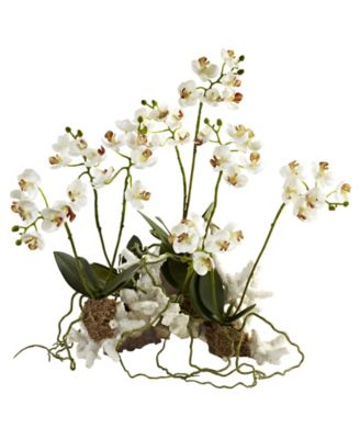 Nearly Natural - Artificial Mini Phalaenopsis Set on Coral