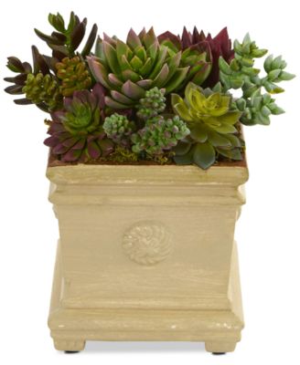 Nearly Natural - 7.5" Mixed Succulent Artificial Plant