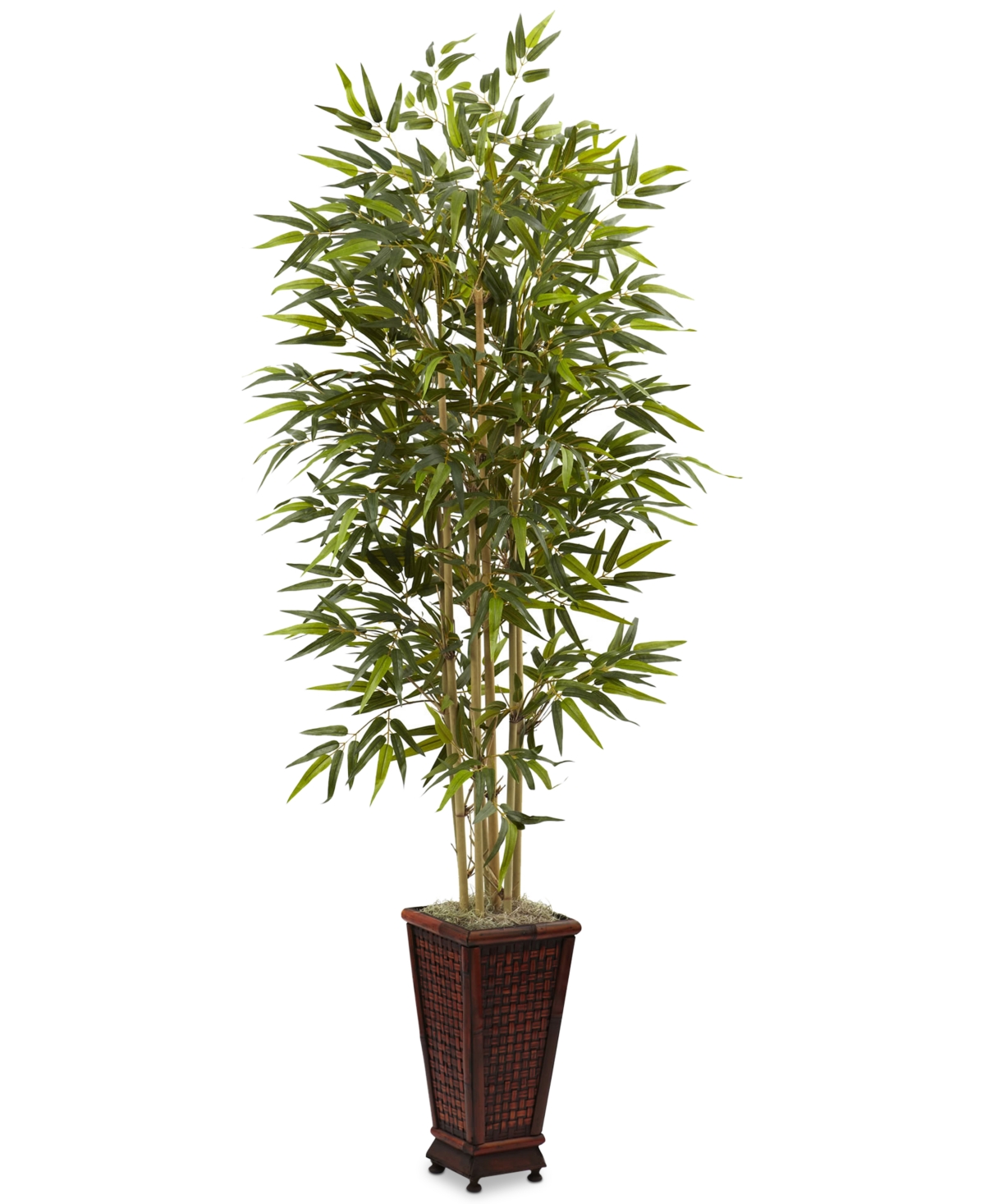 6' Bamboo Artificial Tree in Decorative Planter - Green