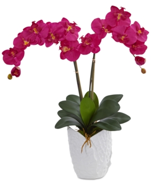 Nearly Natural Double Phalaenopsis Orchid Artificial Arrangement In White Ceramic Vase In Dark Pink