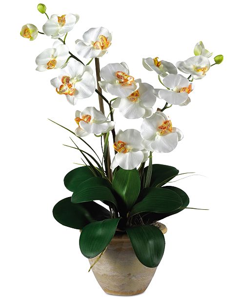 Nearly Natural Double Phalaenopsis Orchid Artificial Flower Arrangement Reviews Home Macy S