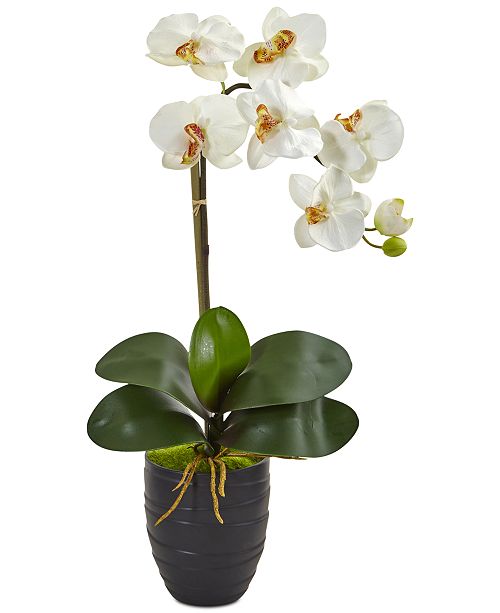 Nearly Natural Phalaenopsis Orchid Artificial Arrangement In Black Vase Reviews Home Macy S