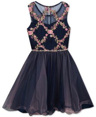 Rare Editions - Big Girls Embroidered Fit & Flare Dress