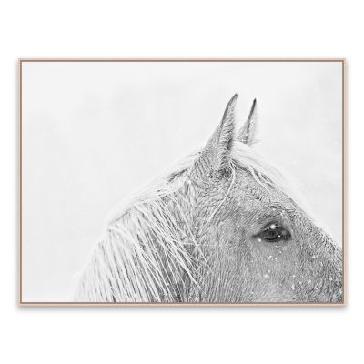 Artissimo Designs - Snow Daze I Crop Fra