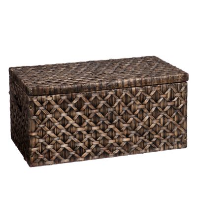 Southern Enterprises - Water Hyacinth Storage Trunk, Quick Ship