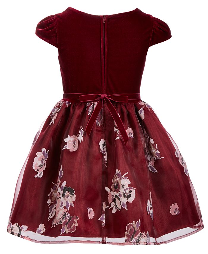 Pink & Violet Little Girls Velvet Floral-Print Dress - Macy's