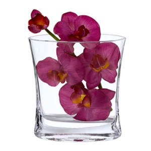 Shop Badash Crystal Riviera Pocket Vase In Clear