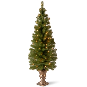 National Tree Company 5' Montclair Spruce Entrance Tree in 12