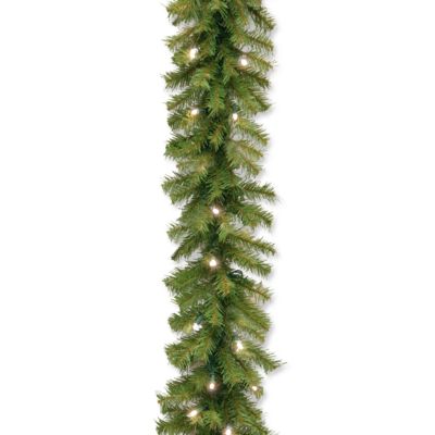 National Tree Company - 9' x 10" Norwood Fir Garland with 50 Concave Soft White LED Lights
