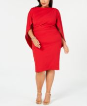 Women's Plus Size Precious Rosy Pleat Dress