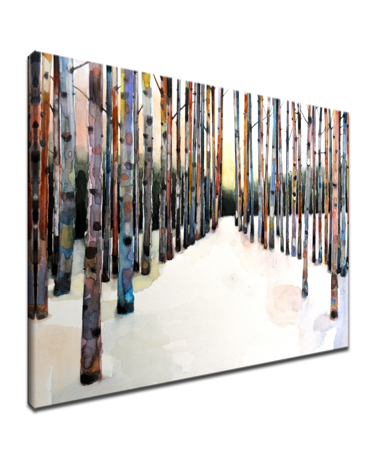 Ready2HangArt, 'Winter Grove' Canvas Wall Art, 20x30