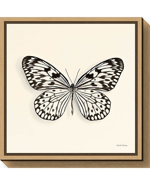 Amanti Art Butterfly V Bw Crop By Debra Van Swearingen Canvas