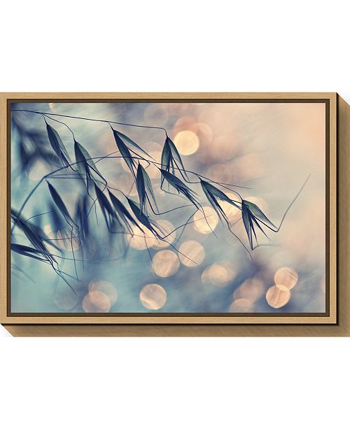 Amanti Art Pastel Grains By Dimitar Lazarov Canvas Framed Art