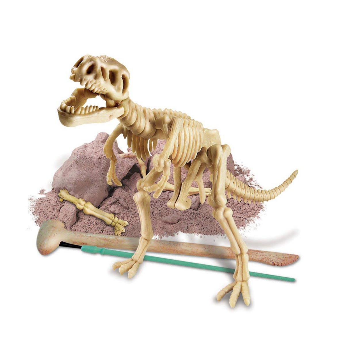 Redbox 4m Kidzlabs Dig A Dinosaur Tyrannosaurus Rex Skeleton In Multi