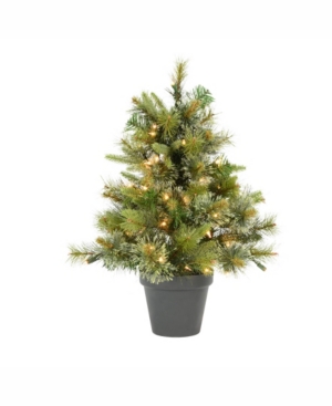 Vickerman 24 inch Cashmere Pine Artificial Christmas Tree With 50 Clear Lights