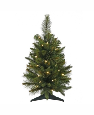 Vickerman 24 inch Cashmere Pine Artificial Christmas Tree With 30 Warm White Led Lights