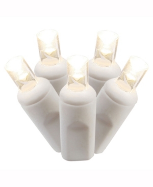 Vickerman 50 Warm White Twinkle Wide Angle Led Light On White Wire 25' Christmas Light Strand