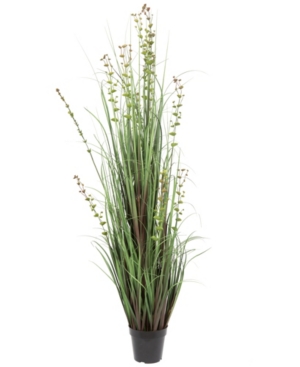 Vickerman 60