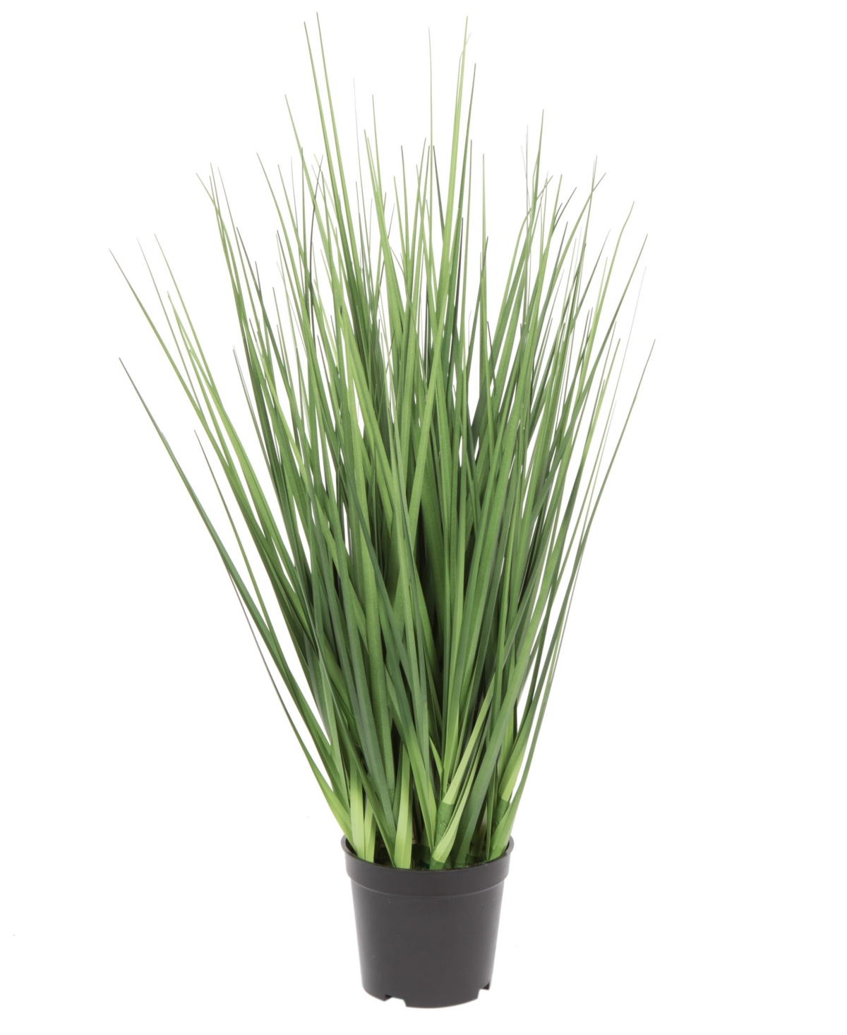 Vickerman 24" Artificial Potted Extra Full Green Grass In No Color