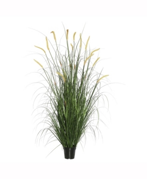 Vickerman 48