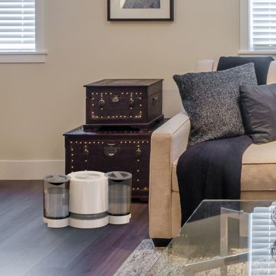 EV200 Evaporative Humidifier