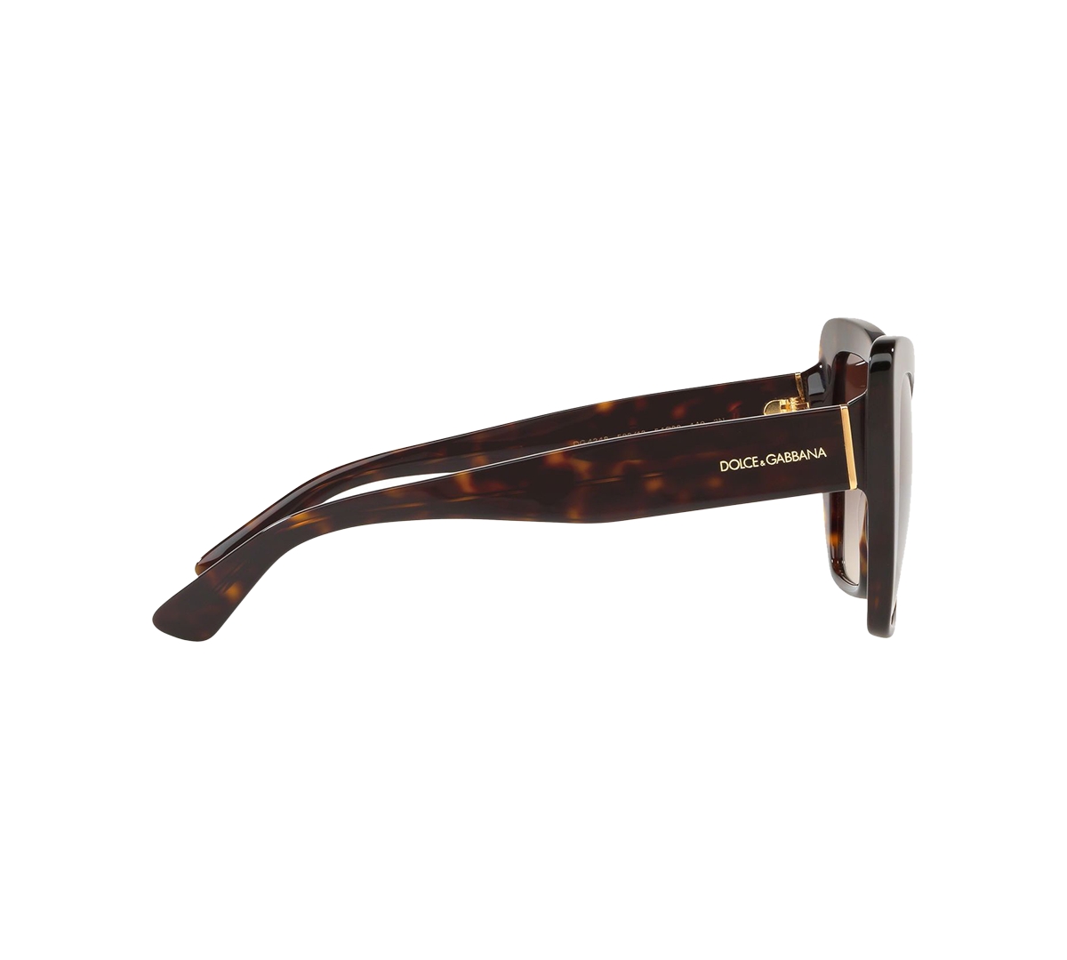 Dolce & Gabbana 54mm Gradient Butterfly Sunglasses - Havana Gradient In Havana,brown Gradient