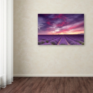 Trademark Global Michael Blanchette Photography 'pink And Purple' Canvas Art, 22" X 32" In Open Misce